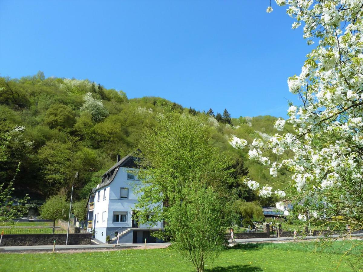 Haus Moselwiese Apartment *